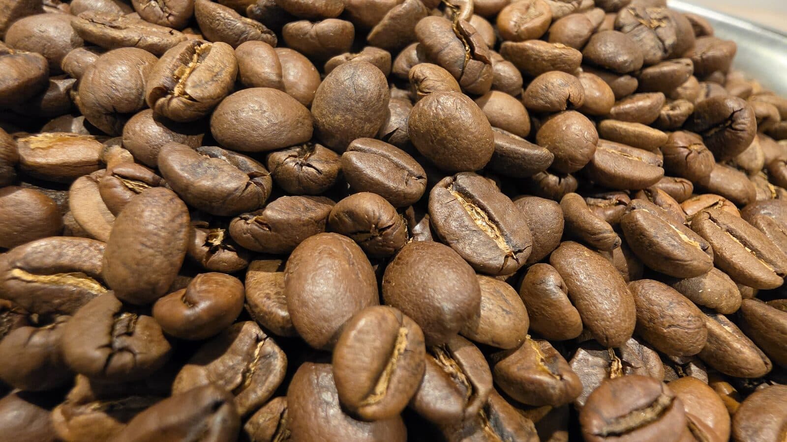 In defence of Robusta (and why The Mule kicks)